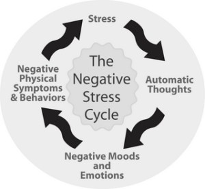 EDU_NegativeStressCycle